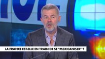 La lutte contre l'insécurité «manque de réelle volonté politique», selon Eric Naulleau