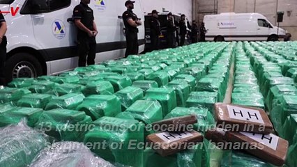 Spanish Police Seize Record 13 Tons of Cocaine Hidden in Ecuadorian Banana Shipment