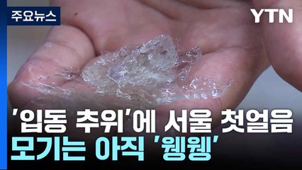[날씨] '입동 추위'에 서울 첫얼음까지...모기는 아직 '웽웽' / YTN