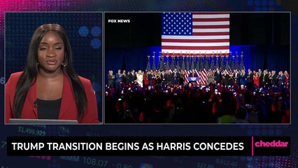 Trump Transition Begins as Harris Concedes