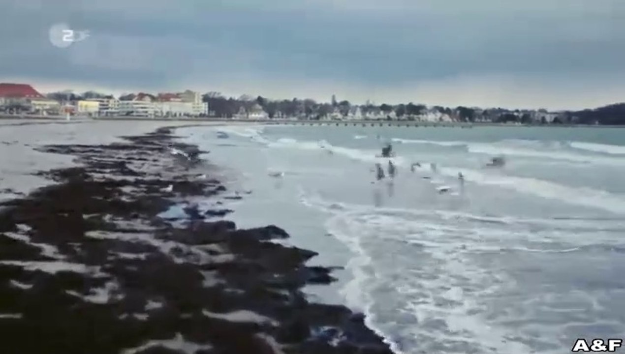 Solo für Weiss -04- Für immer Schweigen