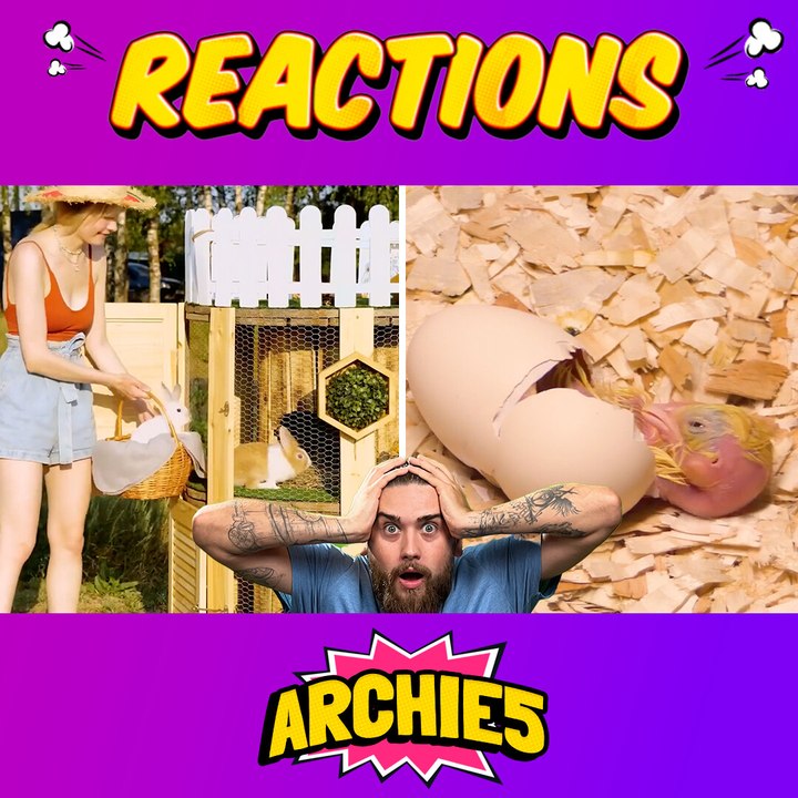 Pet Crafts Ideas We Never Saw Coming! 🐓🐰 The Dudes React to 5-Minute Animal Crafts!