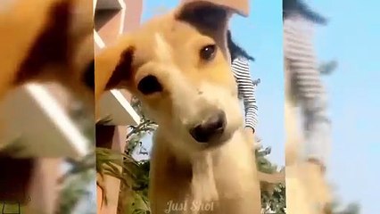 The Ultimate iPhone Meme Collection: Laugh-Out-Loud Fails.