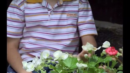 Madres e Hijas Capitulo 4