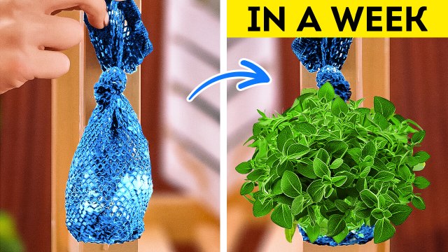 Ultimate Gardening Hacks for Growing Healthy Plants with Minimal Space ☘
