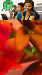 If a body moves with constant speed, the motion is said to be....../