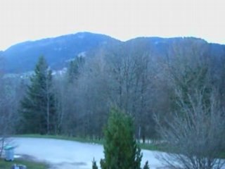 04 25 chants d'oiseau