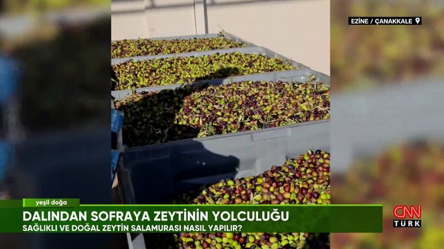 Bahçeden sofraya zeytinin hikayesi Yeşil Doğa'da ekrana geldi
