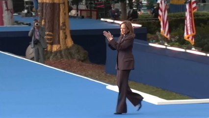 ¿Qué pueden hacer los demócratas de cara a los próximos cuatro años?