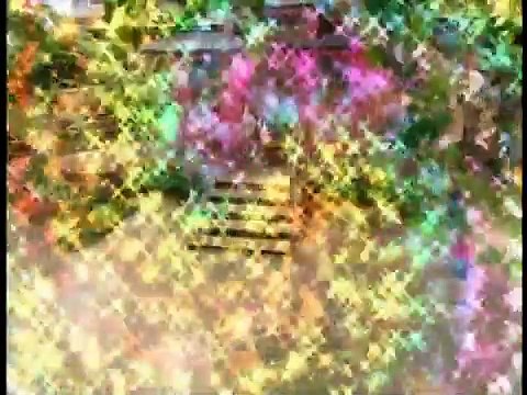 PBS Kids Barney And Friends Animal ABC's...mp4