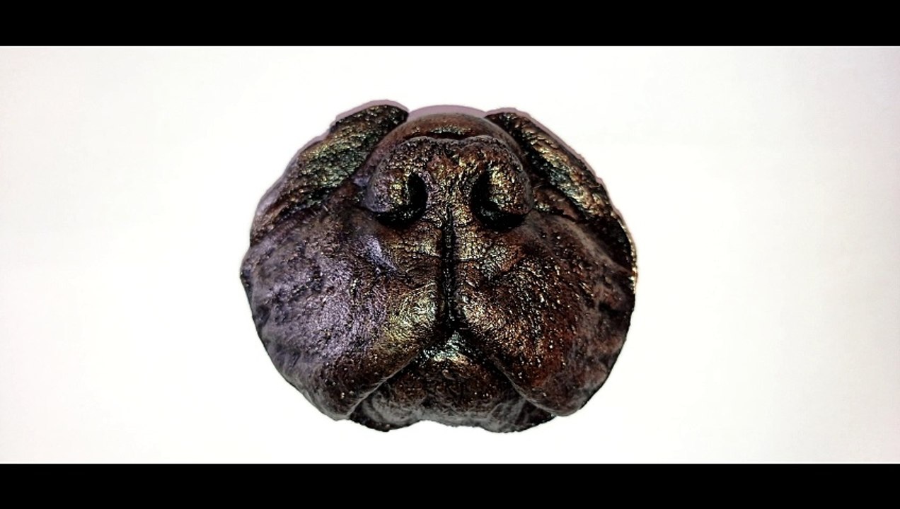 Abuín -Trincheras- (Coros de mi hijo Joel con 7 años y de mi perro Tyson)