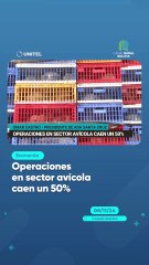 Operaciones en sector avícola caen un 50%