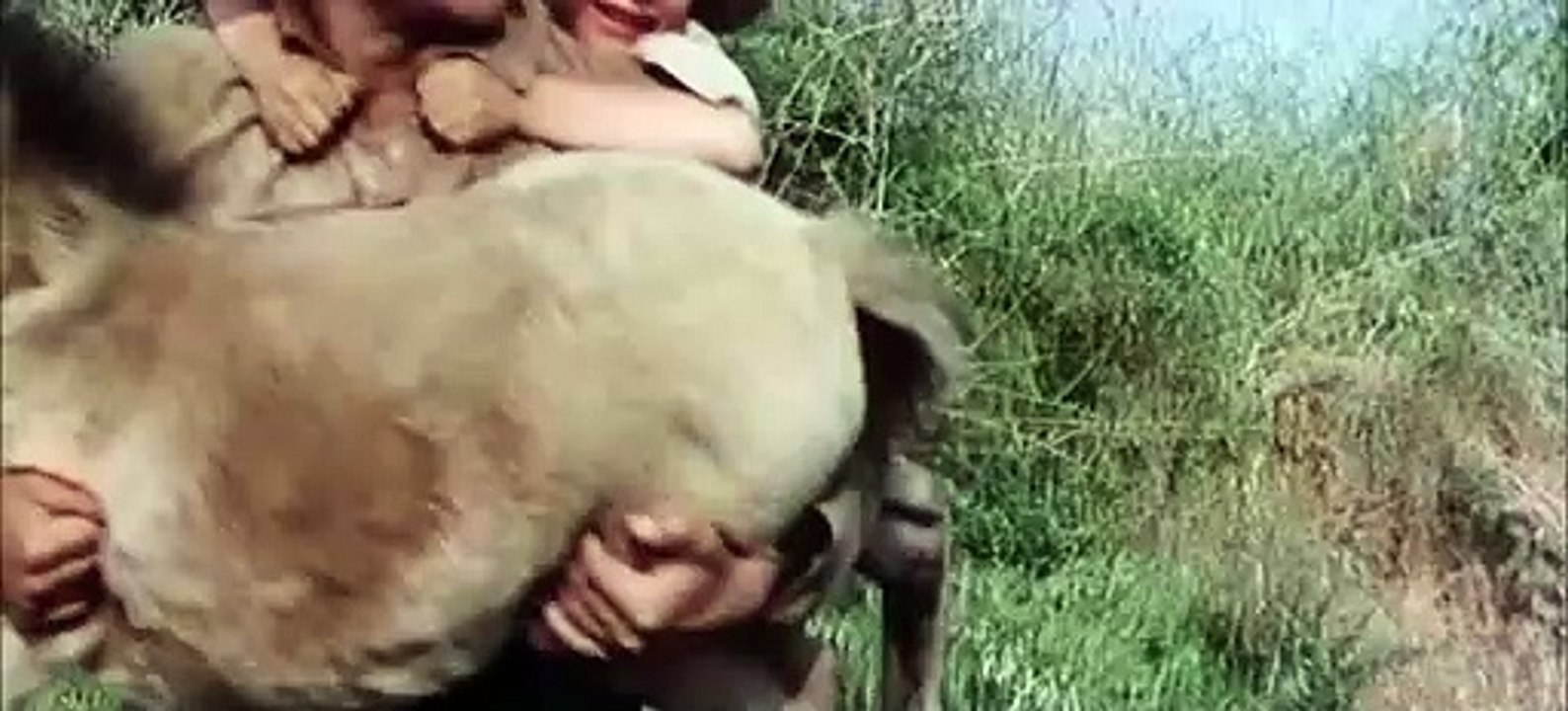 Tal der Hoffnung | movie | 1967 | Official Trailer