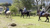 mqn-¡Vamos a Cabalgar! La Cabalgata de Las Vueltas de La Guácima- Tradición y Solidaridad-071124