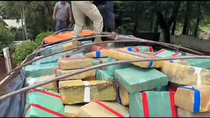 PRF apreende bitrem com 19,5 toneladas de maconha no Paraná