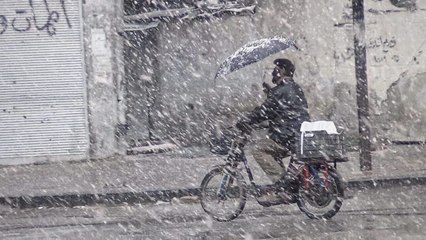 Little Palestine, journal d'un siège