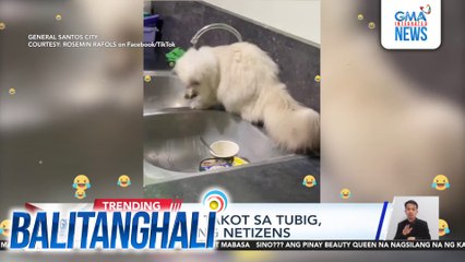 Pusang hindi takot sa tubig, kinatuwaan ng netizens | Balitanghali