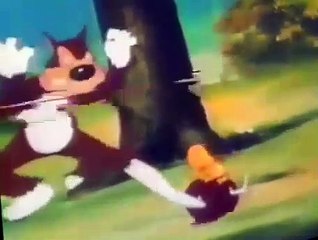 The Heckle and Jeckle Show The Heckle and Jeckle Show E005 – Cat Trouble