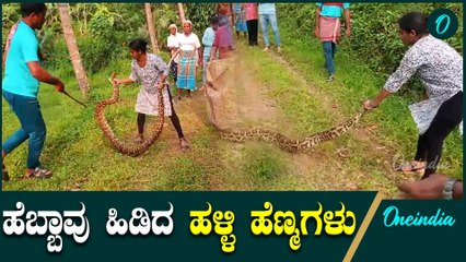 ಉಡುಪಿಯಲ್ಲಿ ಕಾಣಿಸಿಕೊಂಡ ಹೆಬ್ಬಾವು | Python | Udupi | Manipal