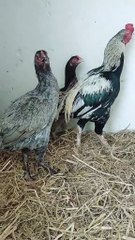 received_1606644383252549