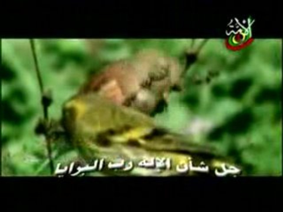 بشارات خاتم الأنبياء   3-3
