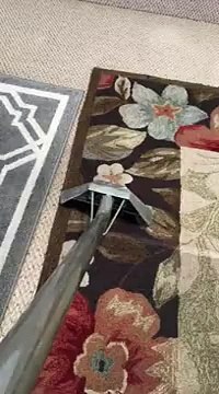 How to Carpet Cleaning in Enid - Absolute Carpet & Tile Restoration