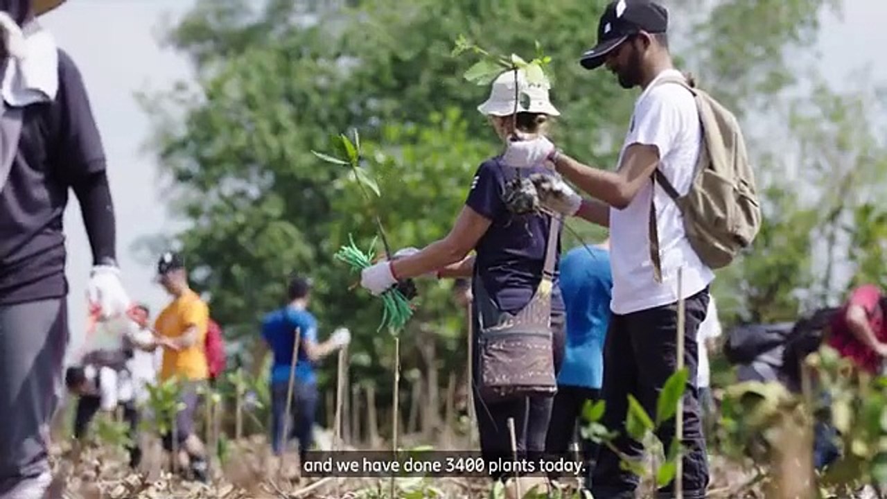Connected Mangroves in the Philippines and Malaysia