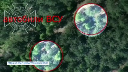 Pasukan Rusia  Identifikasi Posisi Musuh yang Sembunyi diTengah Hutan selanjutnya tinggal rongsokan
