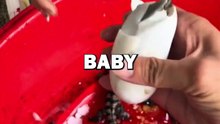 RESCUING BABY CROCODILE! #cuteanimals #animals #cuteanimals #crocodile #animalrescue #animalstories