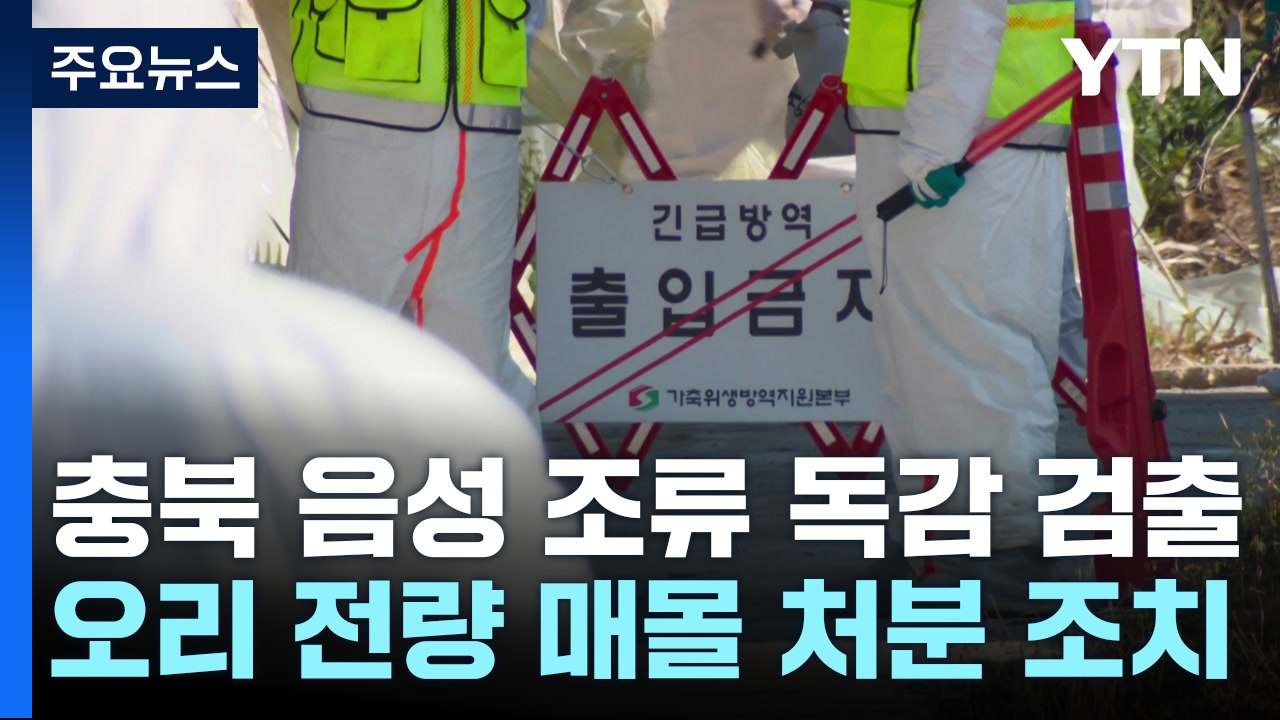 충북 음성에서 고병원성 AI 확진...전국 두 번째 / YTN