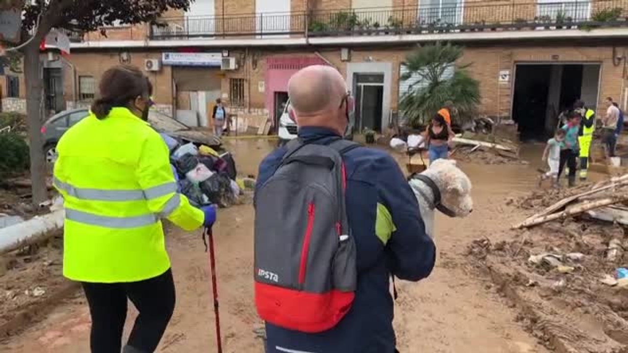 Cientos de animales afectados por la DANA de Valencia