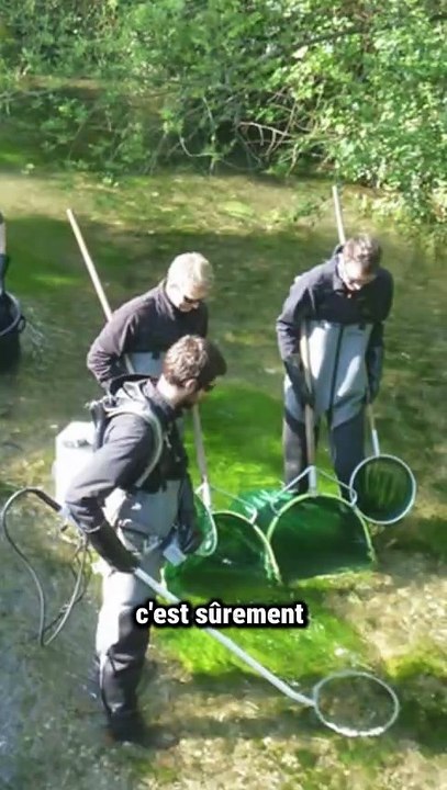 19:Darwin Awards Mort à cause d’une pêche originale  #blague #histoire drôle #sansfiltre
