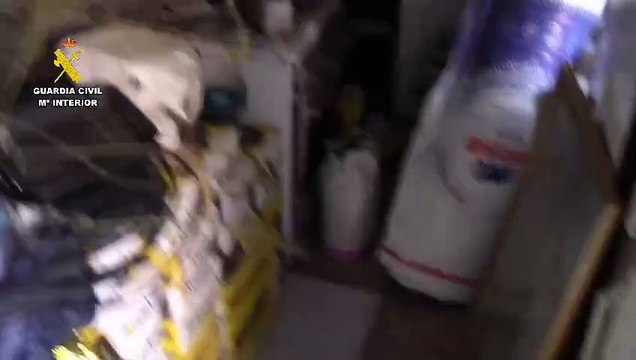 Imágenes de una plantación de marihuana en Tudela de Duero