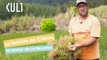 La lentille de Cilaos, le caviar de La Réunion