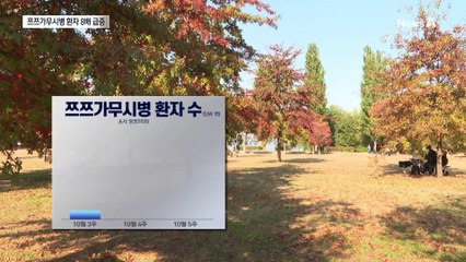 가을 잔디 앉았다가…쯔쯔가무시 환자 8배 ‘비상’