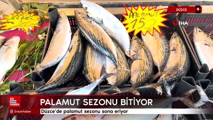 Düzce’de palamut sezonu sona eriyor