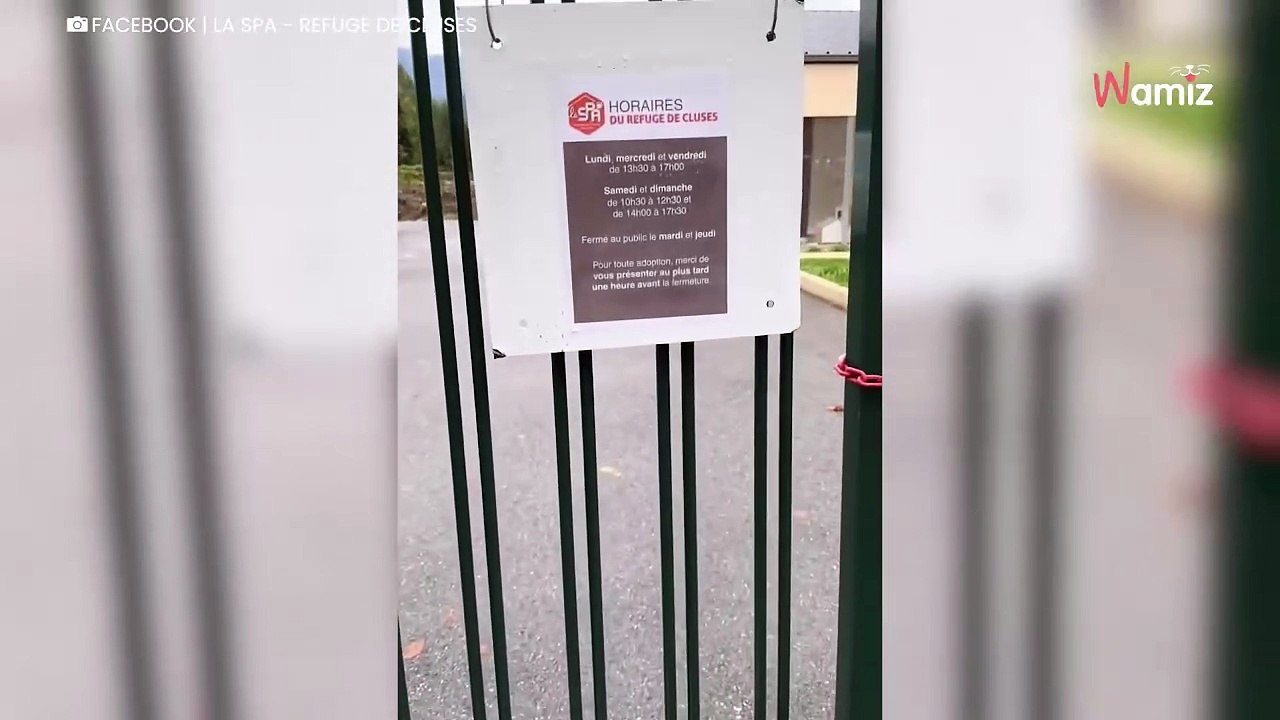 Böse Überraschung vor dem Tierheim: Mitarbeiter sind schockiert!