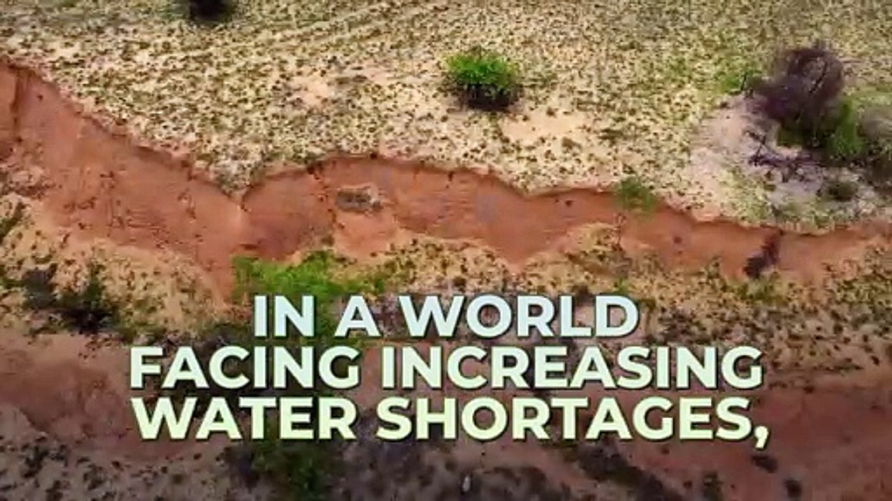 Investing in Oxydus: Pioneering Sustainable Water Solutions for a Thirsty World