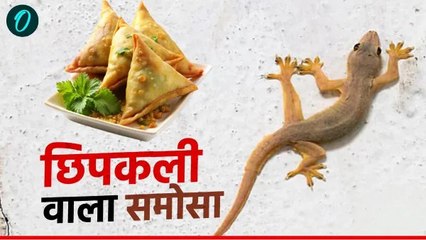 छिपकली वाला समोसा खाने से बच्चे की तबीयत बिगड़ी, इंटरनेट पर वायरल हुआ हैरान कर देने वाला वीडियो