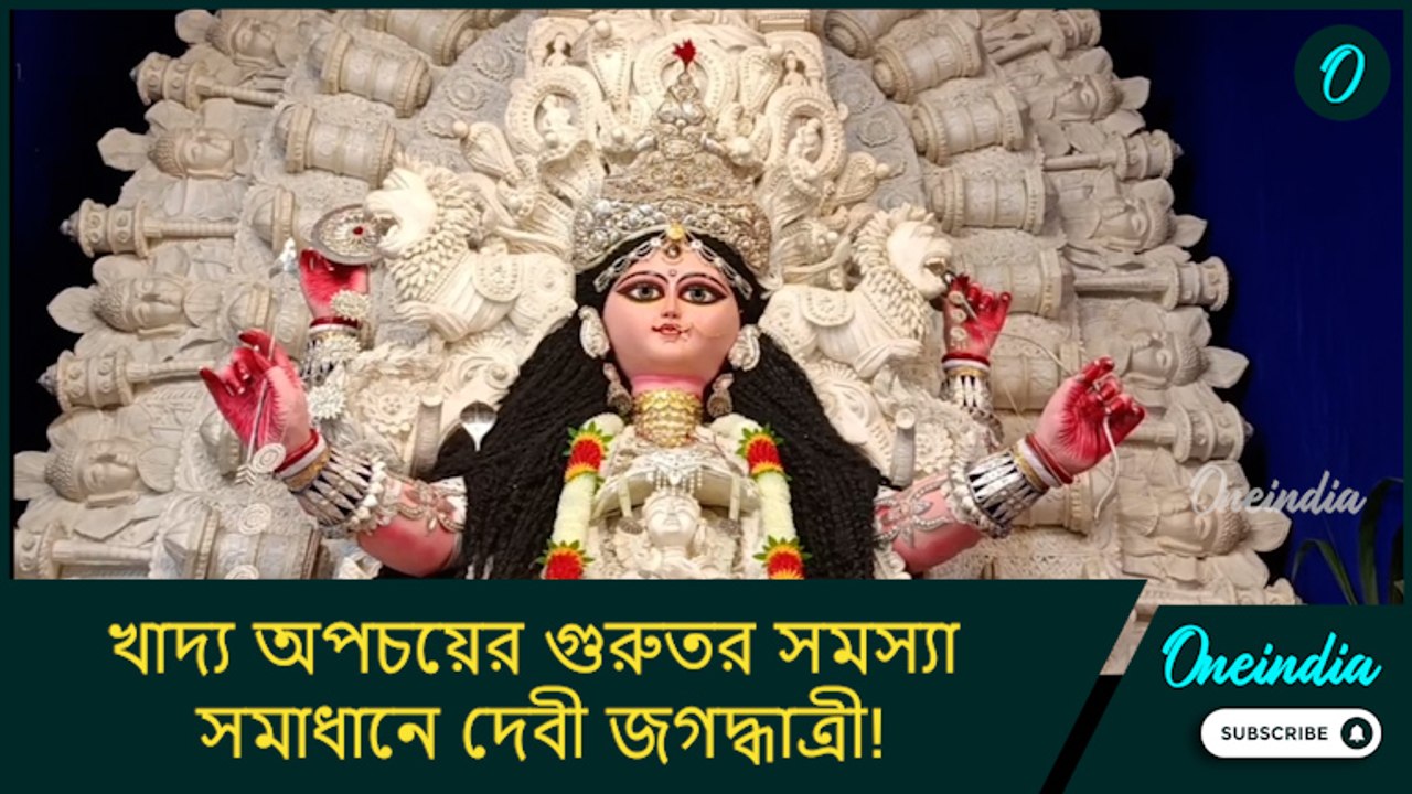 খাদ্য অপচয়ের গুরুতর সমস্যা সমাধানে দেবী জগদ্ধাত্রী! চন্দননগর পাদ্রীপাড়ার অভিনব থিম ভাবাবে আপনাকেও
