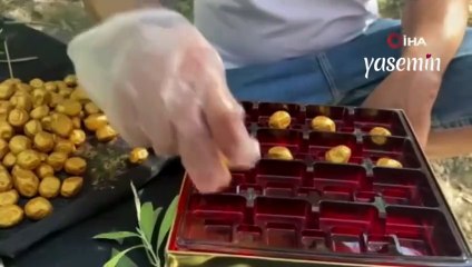'Altın tozuyla' kaplı zeytin yurtdışına yok satılıyor! Patentini aldı: Taleplere yetişemiyor