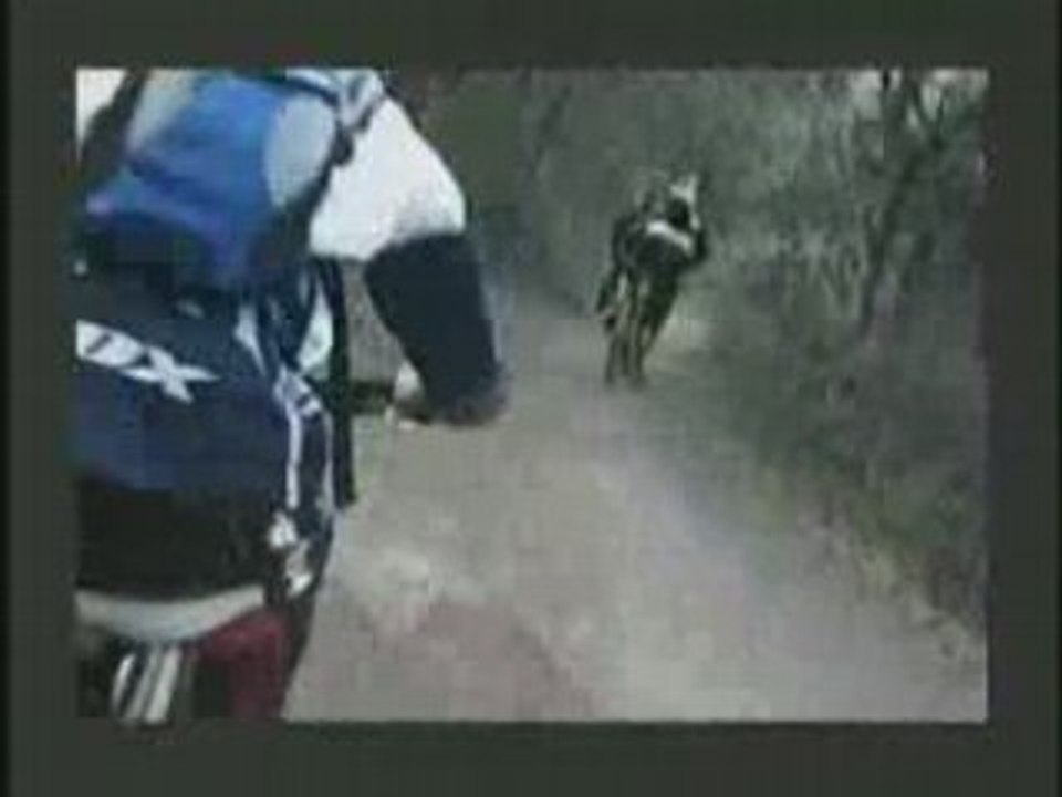 Ride pleasure