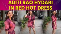 Koffee with karan diljit dosanjh full episode dailymotion deals