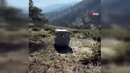 Bunalıma giren akbaba rehabilite edildi