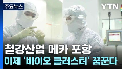 철강산업 메카 포항, 이제 '바이오 클러스터' 꿈꾼다 / YTN