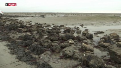 Passage du Gois : les îles de l'Atlantique réclament le retour du péage