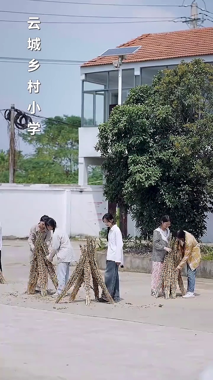 鄕村老媽竟是大國名師