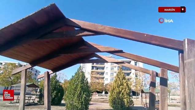 Mardin’in Kızıltepe ilçesinde kamelya kırılıp ateş yakıldı