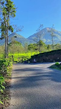 pemandangan yang indah