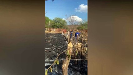 Incêndio supostamente criminoso atinge cerca de 15 hectares na zona rural da região de Princesa Isabel